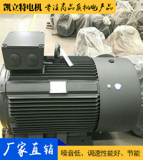 YE2/Y2/Y普通三相異步電動(dòng)機(jī)