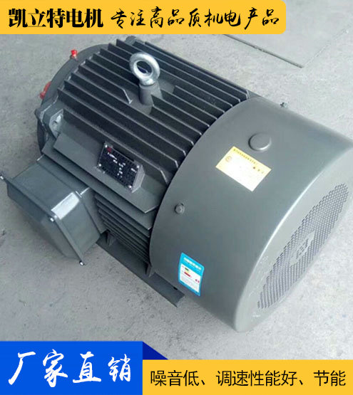 YE2/Y2/Y普通三相異步電動(dòng)機(jī)