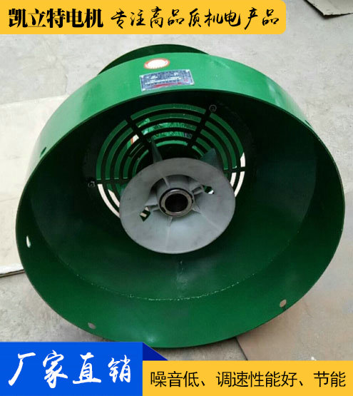 進(jìn)口電機(jī)用通風(fēng)機(jī)定制